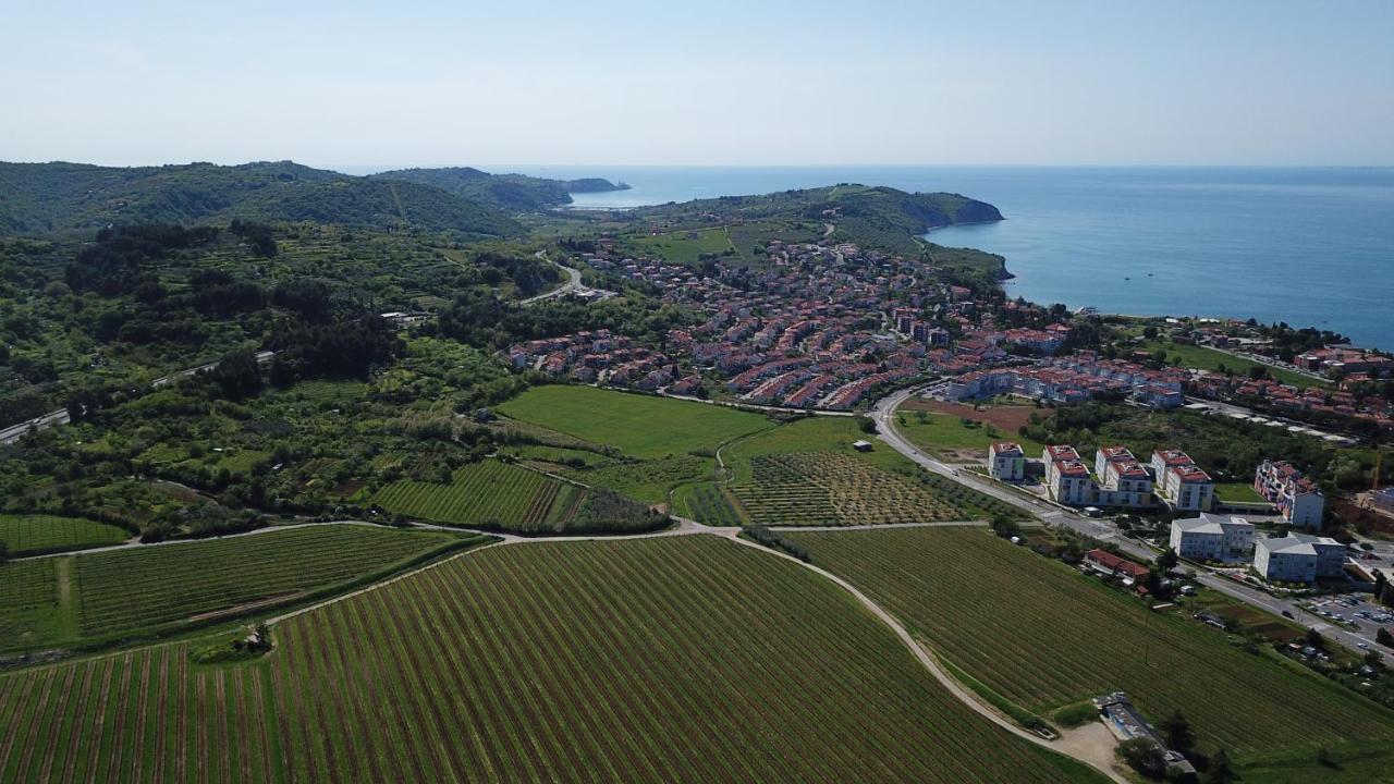 Apartments Villa Sandi Izola Eksteriør bilde